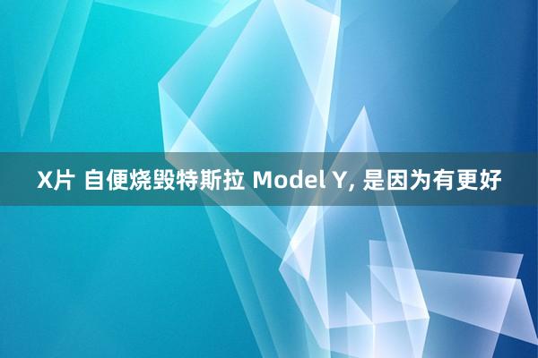 X片 自便烧毁特斯拉 Model Y, 是因为有更好