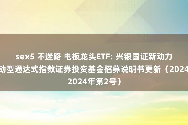 sex5 不迷路 电板龙头ETF: 兴银国证新动力车电板走动型通达式指数证券投资基金招募说明书更新(2024年第2号)