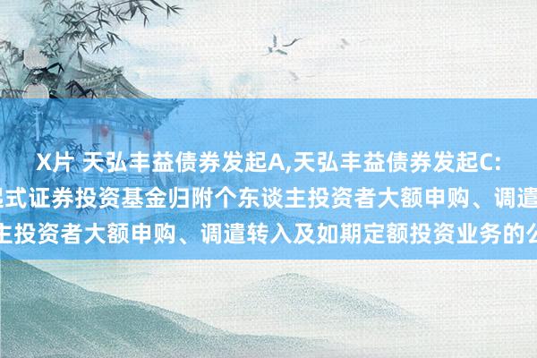 X片 天弘丰益债券发起A,天弘丰益债券发起C: 对于天弘丰益债券型发起式证券投资基金归附个东谈主投资者大额申购、调遣转入及如期定额投资业务的公告