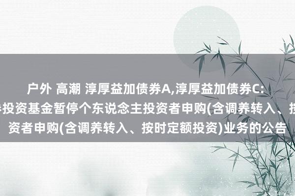 户外 高潮 淳厚益加债券A,淳厚益加债券C: 淳厚益加增强债券型证券投资基金暂停个东说念主投资者申购(含调养转入、按时定额投资)业务的公告