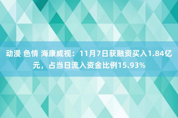 动漫 色情 海康威视：11月7日获融资买入1.84亿元，占当日流入资金比例15.93%