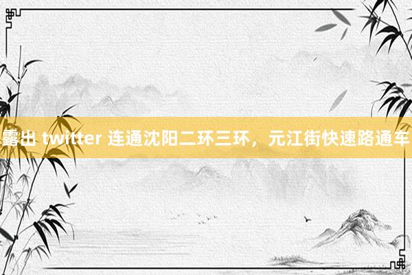 露出 twitter 连通沈阳二环三环，元江街快速路通车