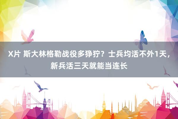 X片 斯大林格勒战役多狰狞？士兵均活不外1天，新兵活三天就能当连长