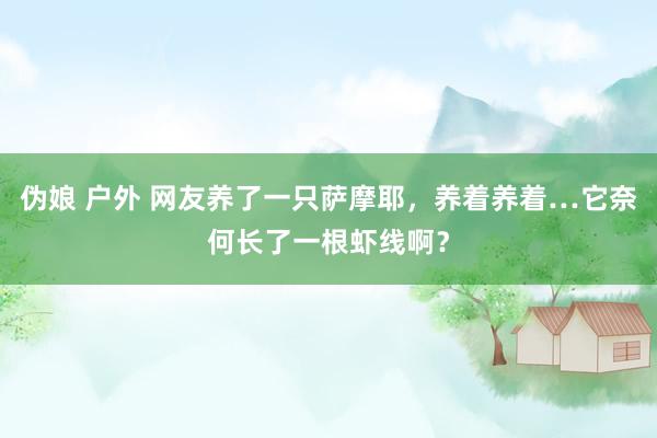 伪娘 户外 网友养了一只萨摩耶，养着养着…它奈何长了一根虾线啊？