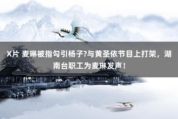 X片 麦琳被指勾引杨子?与黄圣依节目上打架，湖南台职工为麦琳发声！