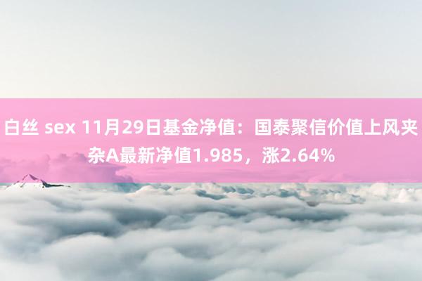 白丝 sex 11月29日基金净值：国泰聚信价值上风夹杂A最新净值1.985，涨2.64%