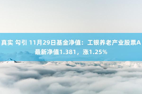 真实 勾引 11月29日基金净值：工银养老产业股票A最新净值1.381，涨1.25%