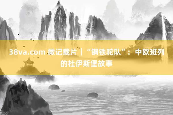 38va.com 微记载片｜“钢铁驼队”：中欧班列的杜伊斯堡故事