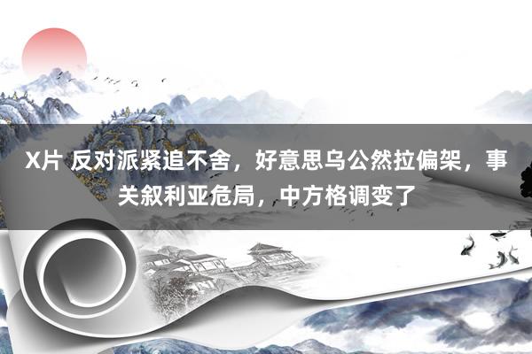 X片 反对派紧追不舍，好意思乌公然拉偏架，事关叙利亚危局，中方格调变了