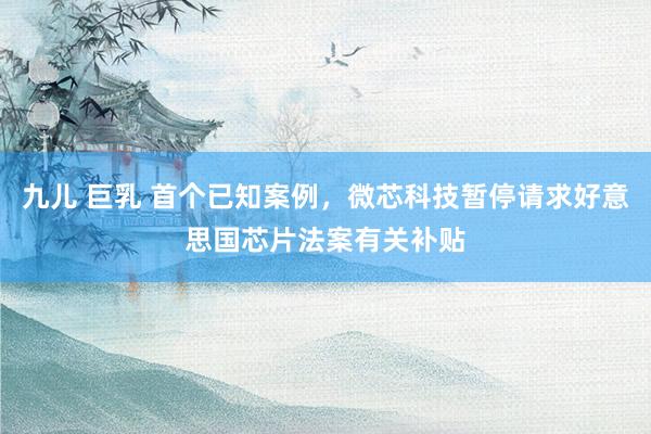 九儿 巨乳 首个已知案例，微芯科技暂停请求好意思国芯片法案有关补贴