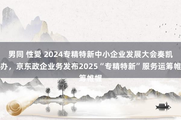 男同 性愛 2024专精特新中小企业发展大会奏凯举办，京东政企业务发布2025“专精特新”服务运筹帷幄