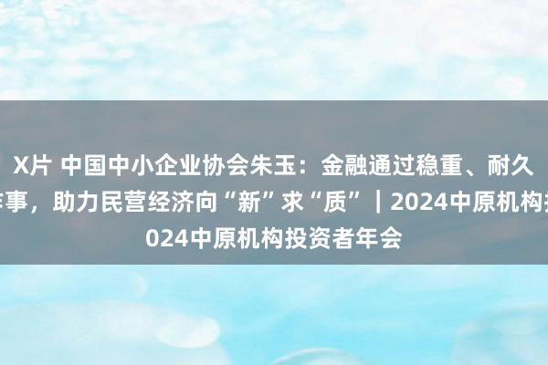X片 中国中小企业协会朱玉：金融通过稳重、耐久、精确的作事，助力民营经济向“新”求“质”｜2024中原机构投资者年会