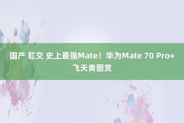 国产 肛交 史上最强Mate！华为Mate 70 Pro+飞天青图赏