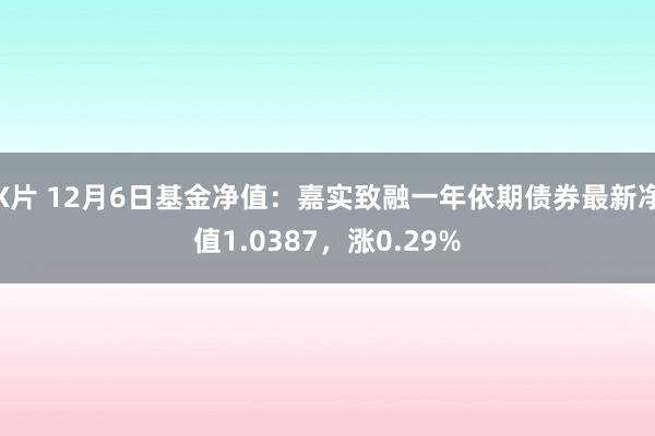 X片 12月6日基金净值：嘉实致融一年依期债券最新净值1.0387，涨0.29%