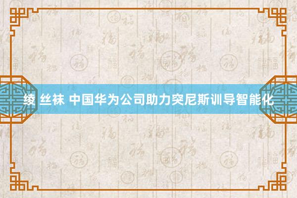绫 丝袜 中国华为公司助力突尼斯训导智能化