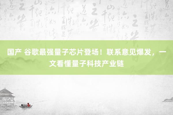 国产 谷歌最强量子芯片登场！联系意见爆发，一文看懂量子科技产业链