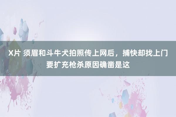X片 须眉和斗牛犬拍照传上网后，捕快却找上门要扩充枪杀原因确凿是这
