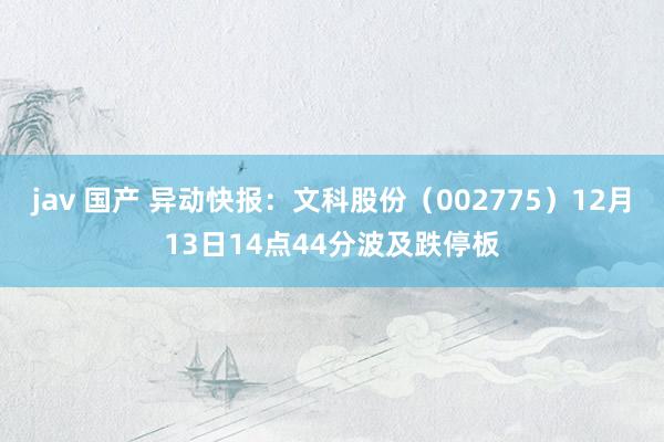 jav 国产 异动快报：文科股份（002775）12月13日14点44分波及跌停板