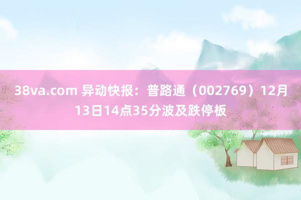 38va.com 异动快报：普路通（002769）12月13日14点35分波及跌停板