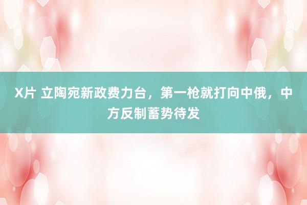 X片 立陶宛新政费力台，第一枪就打向中俄，中方反制蓄势待发