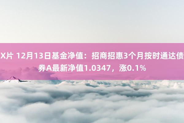 X片 12月13日基金净值：招商招惠3个月按时通达债券A最新净值1.0347，涨0.1%
