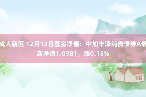 成人新区 12月13日基金净值：中加丰泽纯债债券A最新净值1.0981，涨0.15%