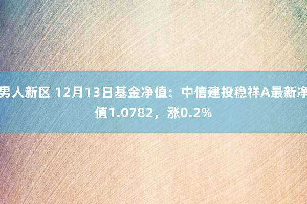 男人新区 12月13日基金净值：中信建投稳祥A最新净值1.0782，涨0.2%