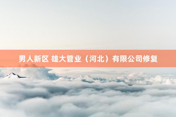 男人新区 雄大管业（河北）有限公司修复