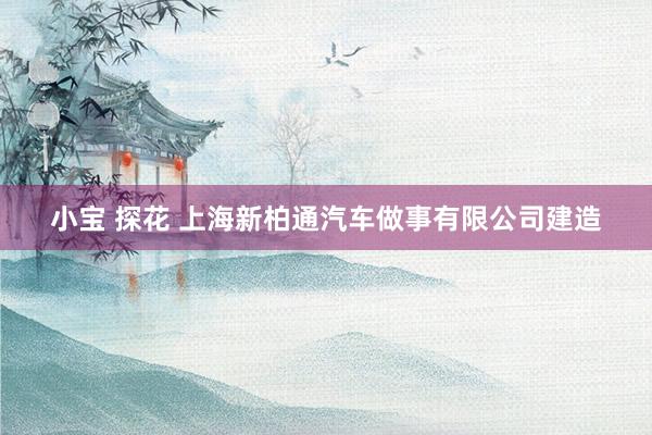 小宝 探花 上海新柏通汽车做事有限公司建造