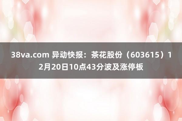 38va.com 异动快报：茶花股份（603615）12月20日10点43分波及涨停板