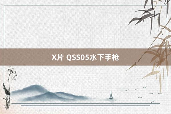 X片 QSS05水下手枪