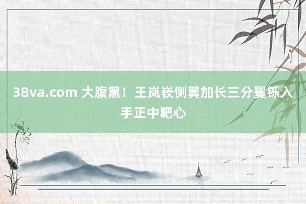 38va.com 大腹黑！王岚嵚侧翼加长三分矍铄入手正中靶心