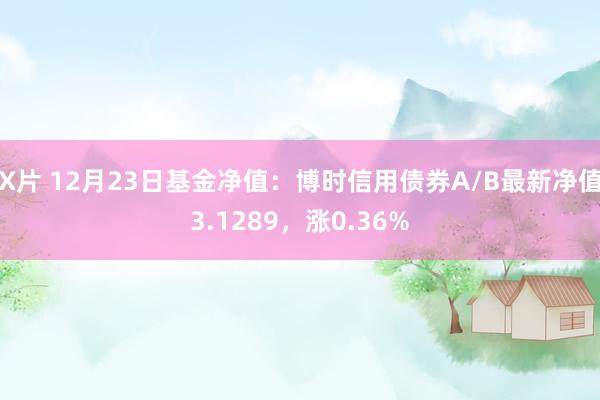 X片 12月23日基金净值：博时信用债券A/B最新净值3.1289，涨0.36%