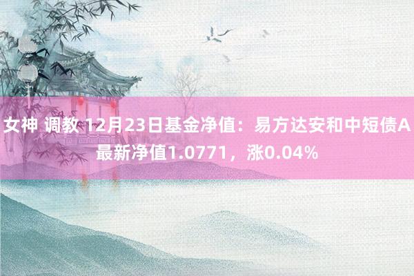 女神 调教 12月23日基金净值：易方达安和中短债A最新净值1.0771，涨0.04%