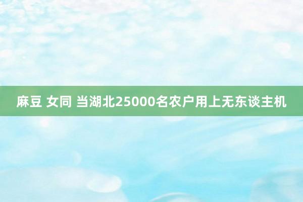 麻豆 女同 当湖北25000名农户用上无东谈主机