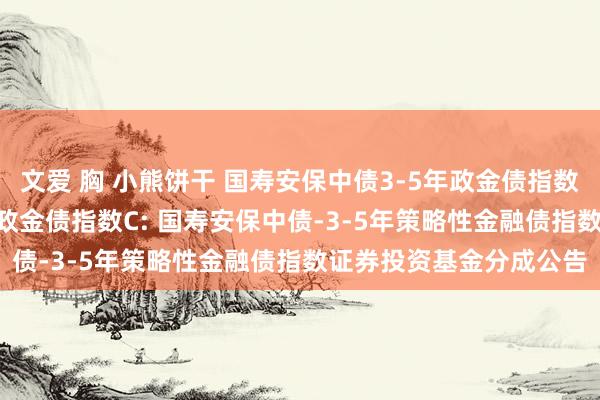 文爱 胸 小熊饼干 国寿安保中债3-5年政金债指数A,国寿安保中债3-5年政金债指数C: 国寿安保中债-3-5年策略性金融债指数证券投资基金分成公告