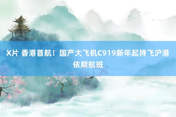 X片 香港首航！国产大飞机C919新年起持飞沪港依期航班