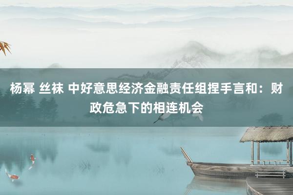 杨幂 丝袜 中好意思经济金融责任组捏手言和：财政危急下的相连机会