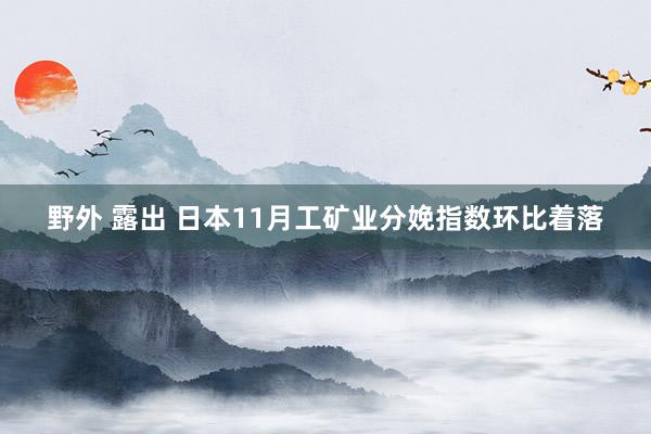 野外 露出 日本11月工矿业分娩指数环比着落