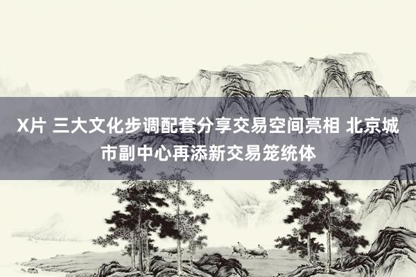 X片 三大文化步调配套分享交易空间亮相 北京城市副中心再添新交易笼统体