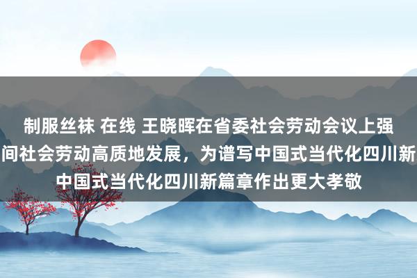 制服丝袜 在线 王晓晖在省委社会劳动会议上强调：不休推动新期间社会劳动高质地发展，为谱写中国式当代化四川新篇章作出更大孝敬