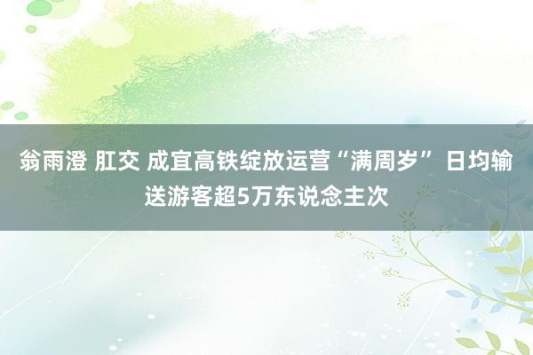 翁雨澄 肛交 成宜高铁绽放运营“满周岁” 日均输送游客超5万东说念主次