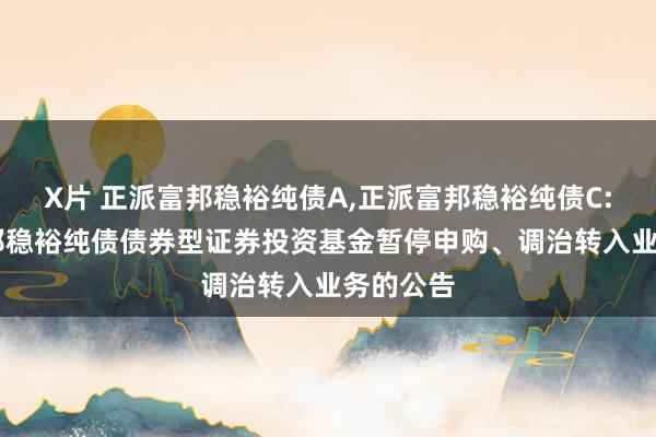 X片 正派富邦稳裕纯债A,正派富邦稳裕纯债C: 正派富邦稳裕纯债债券型证券投资基金暂停申购、调治转入业务的公告