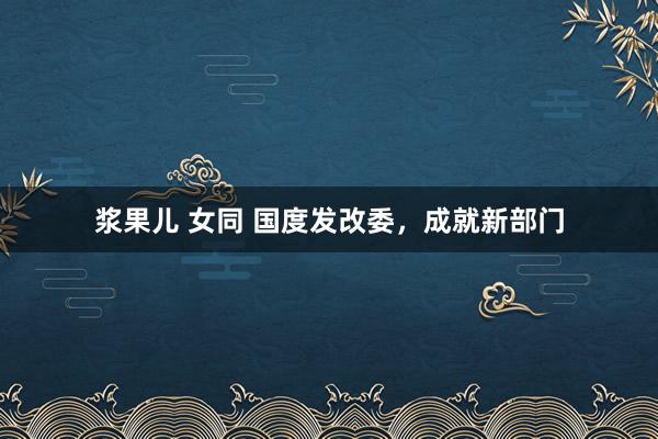 浆果儿 女同 国度发改委，成就新部门