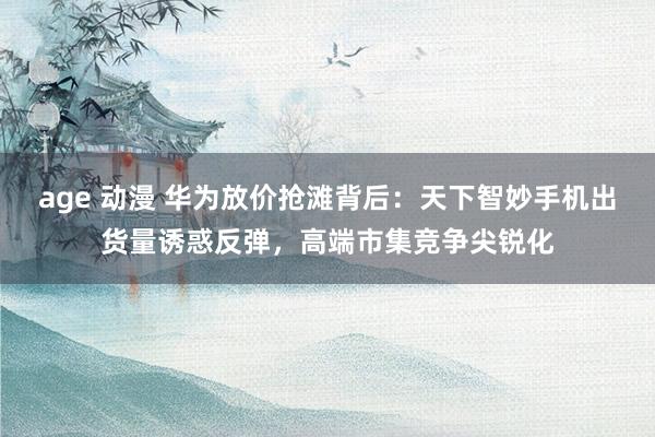 age 动漫 华为放价抢滩背后：天下智妙手机出货量诱惑反弹，高端市集竞争尖锐化