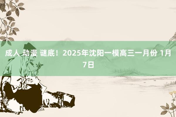 成人 动漫 谜底！2025年沈阳一模高三一月份 1月7日