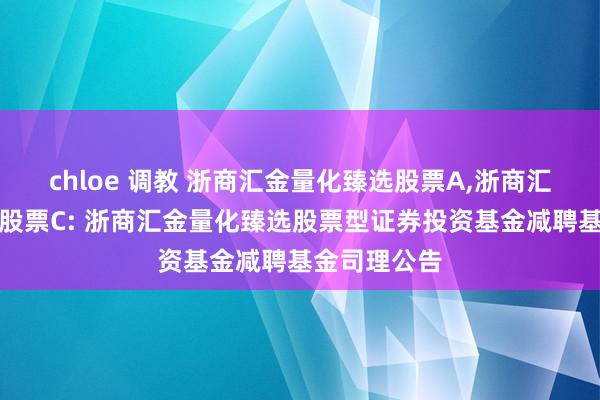 chloe 调教 浙商汇金量化臻选股票A,浙商汇金量化臻选股票C: 浙商汇金量化臻选股票型证券投资基金减聘基金司理公告