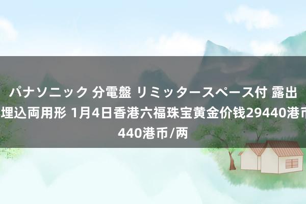 パナソニック 分電盤 リミッタースペース付 露出・半埋込両用形 1月4日香港六福珠宝黄金价钱29440港币/两