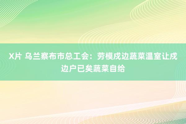 X片 乌兰察布市总工会：劳模戍边蔬菜温室让戍边户已矣蔬菜自给