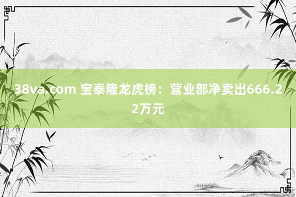 38va.com 宝泰隆龙虎榜：营业部净卖出666.22万元